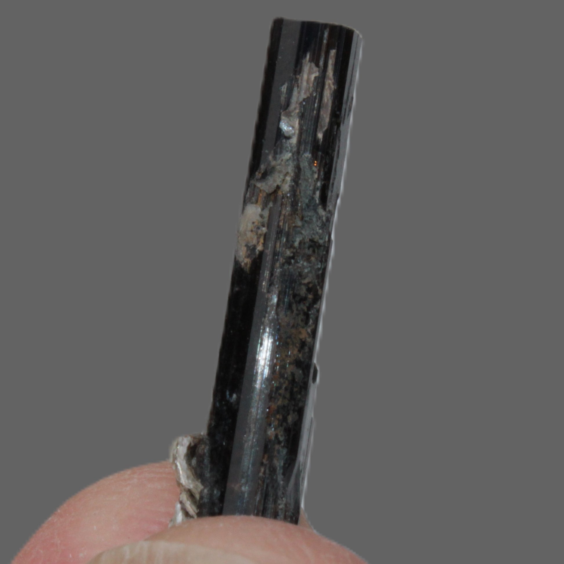 Small long Dark Elbaite crystal 25mm 6.2ct 1.2g Rocks and Things