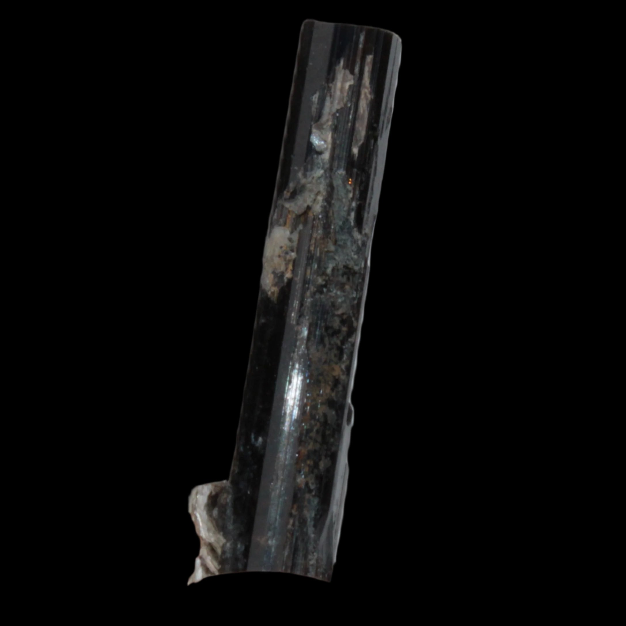 Small long Rainbow Black Tourmaline  crystal 25mm 6.2ct 1.2g in sunlight - Rocks and Things Store