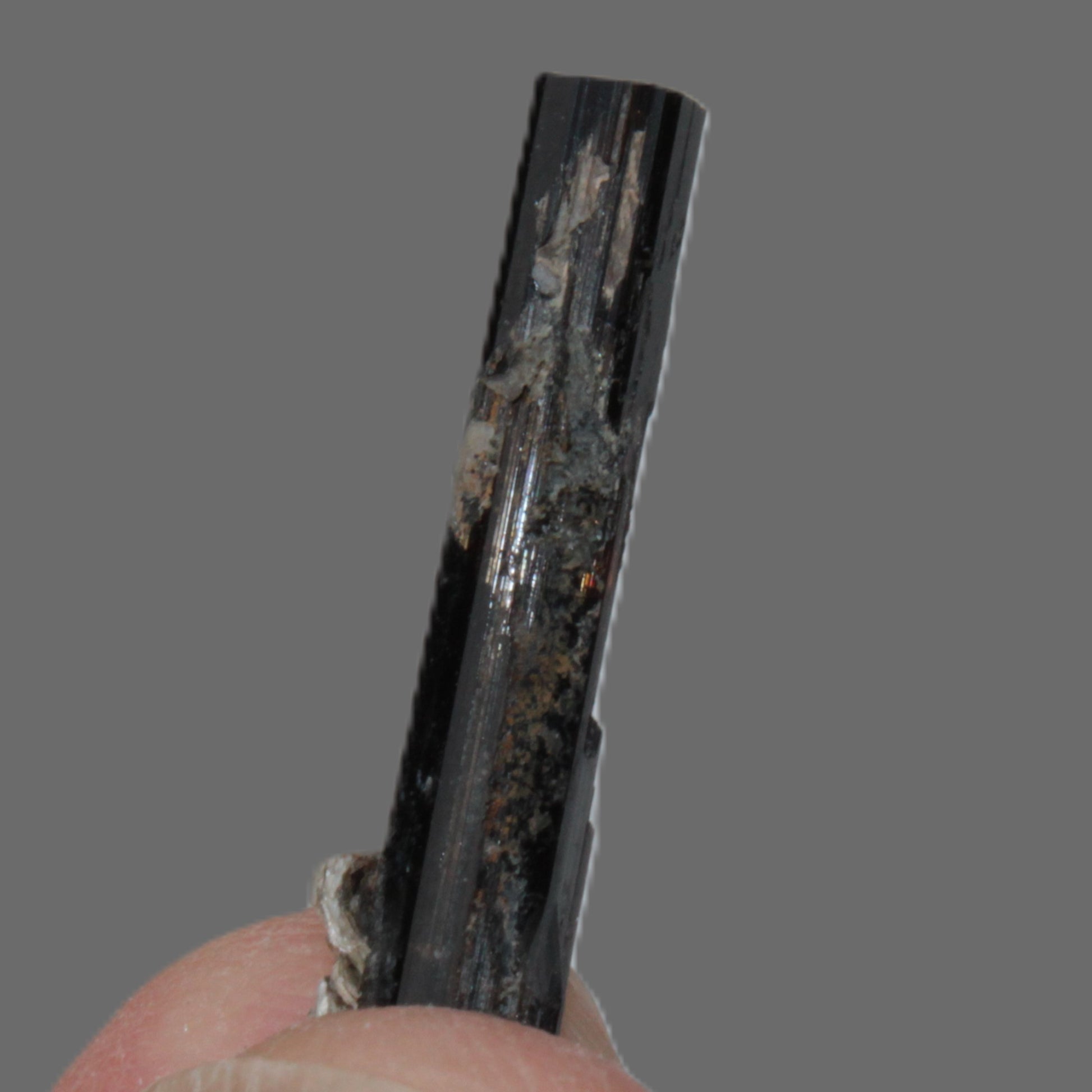 Small long Dark Elbaite crystal 25mm 6.2ct 1.2g Rocks and Things