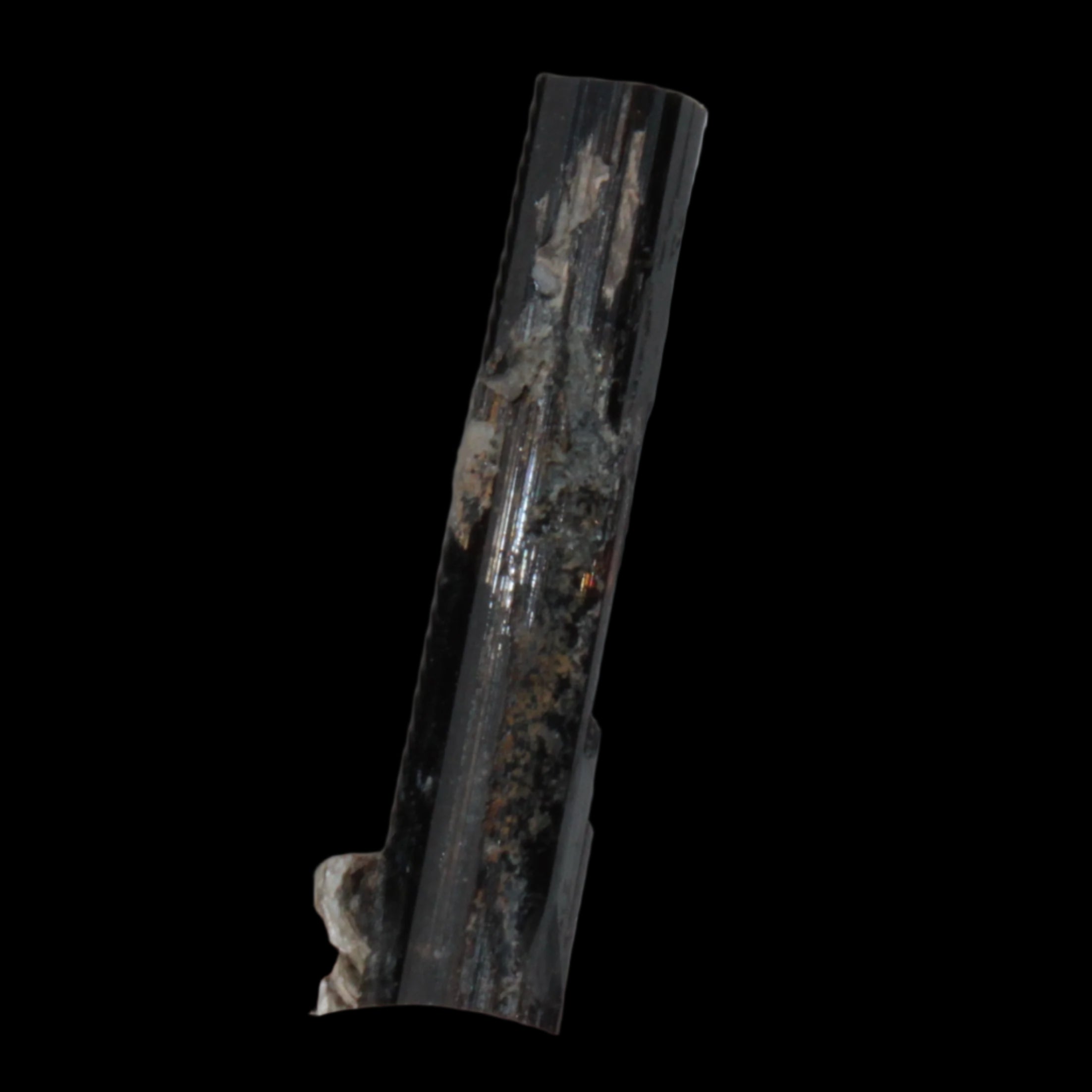 Small long Rainbow Black Tourmaline  crystal 25mm 6.2ct 1.2g in sunlight - Rocks and Things Store