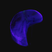 Banded Honey Calcite Cresent Moon 25-30mm 6.9-8.3g Rocks and Things