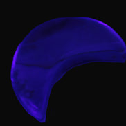 Banded Honey Calcite Cresent Moon 25-30mm 6.9-8.3g Rocks and Things