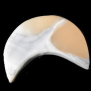 Banded Honey Calcite Cresent Moon 25-30mm 6.9-8.3g Rocks and Things