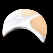 Banded Honey Calcite Cresent Moon 25-30mm 6.9-8.3g Rocks and Things