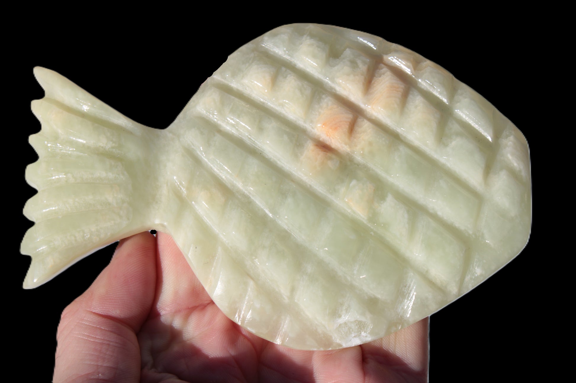 Afghan Jade hand-carved Fish 130*90*15mm 228g Rocks and Things