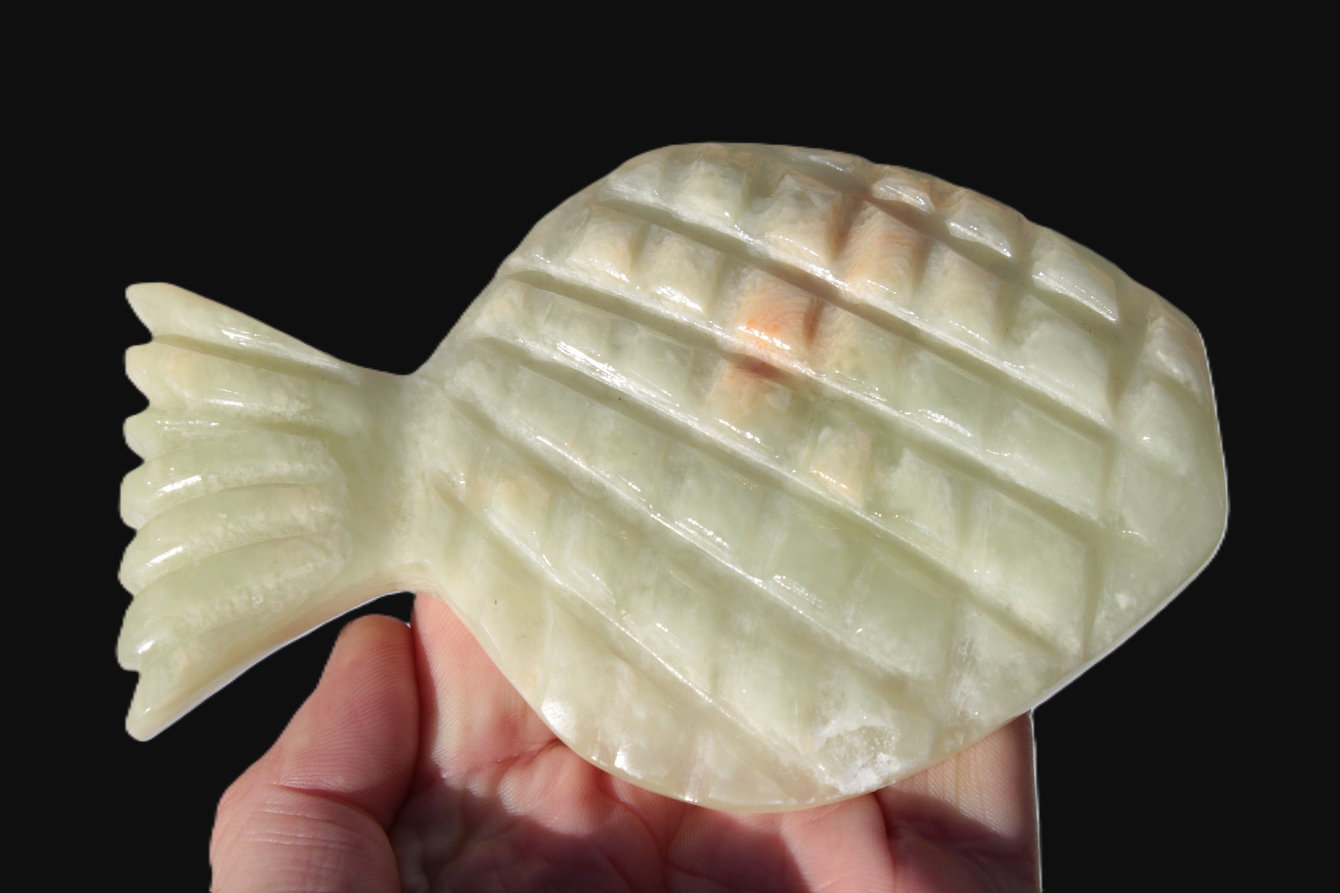 Afghan Jade hand-carved Fish 130*90*15mm 228g Rocks and Things