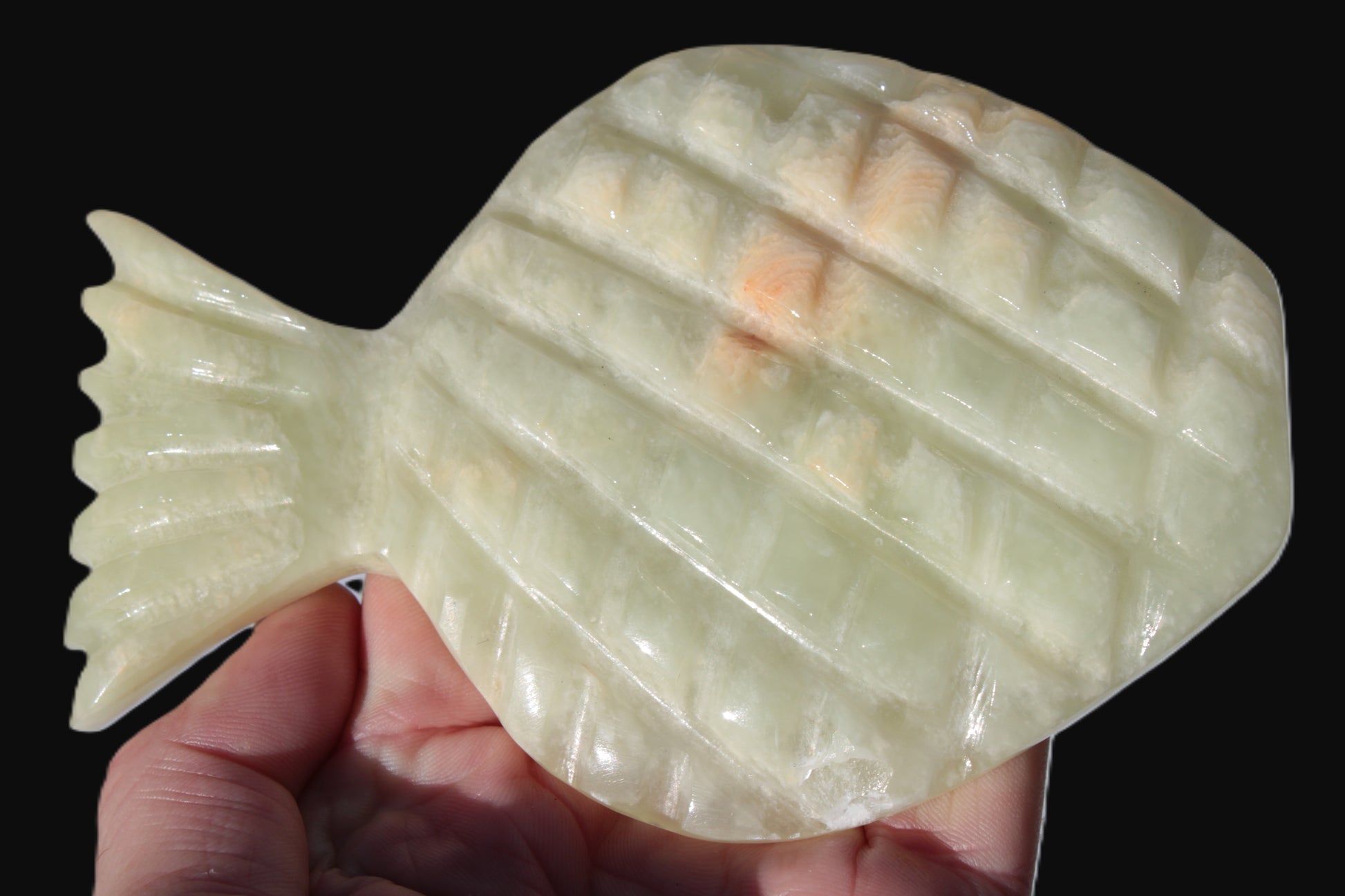 Afghan Jade hand-carved Fish 130*90*15mm 228g Rocks and Things