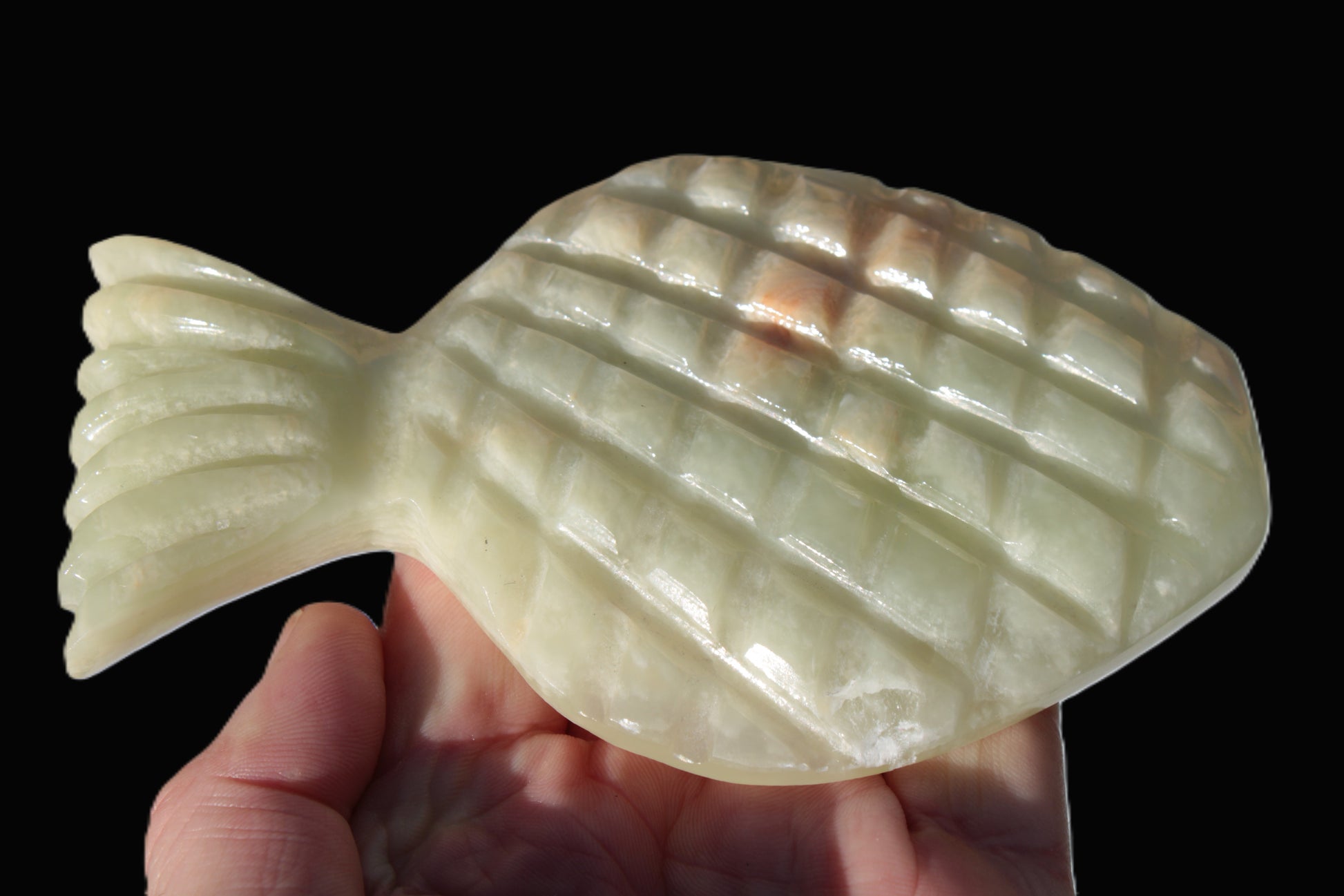 Afghan Jade hand-carved Fish 130*90*15mm 228g Rocks and Things