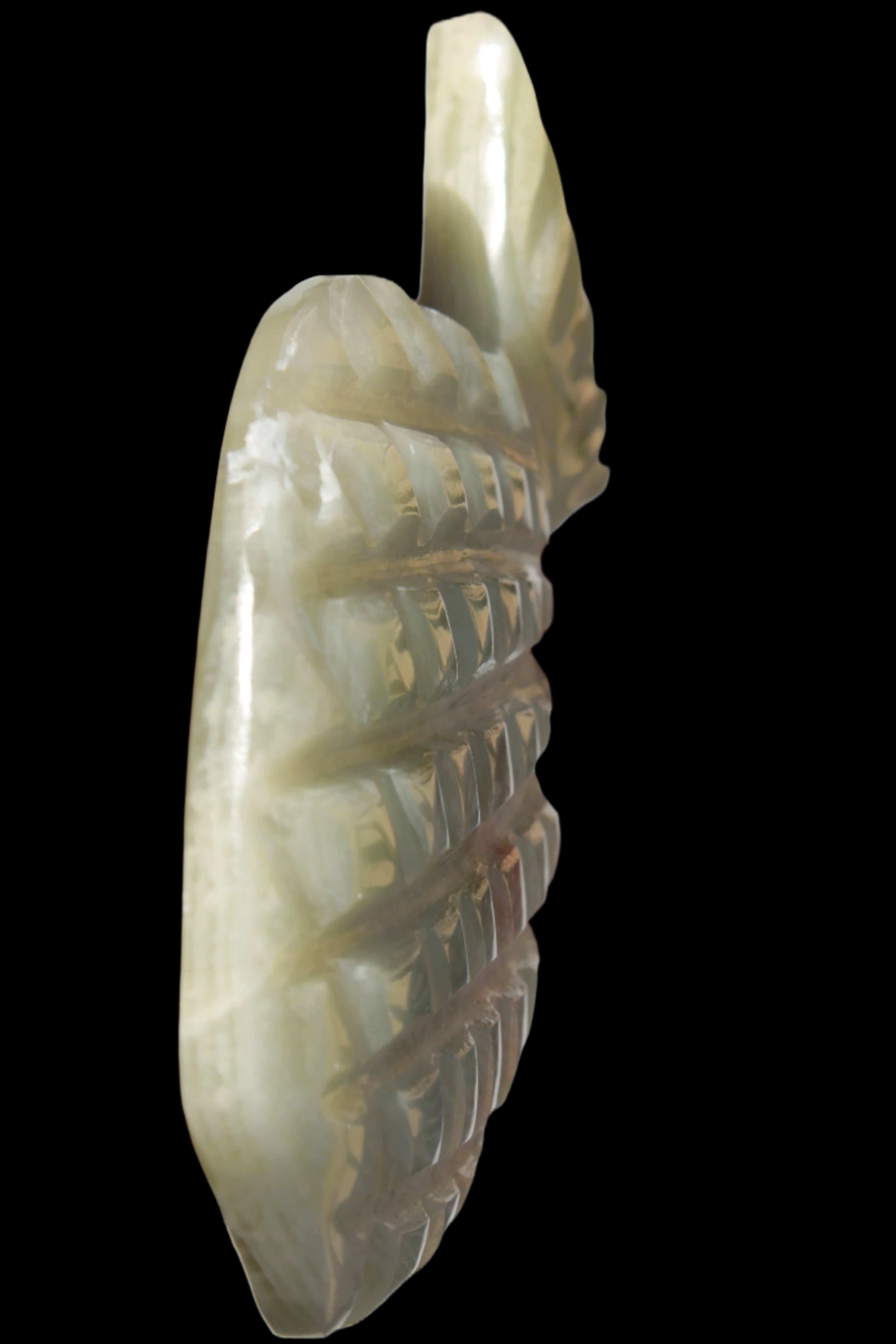 Afghan Jade hand-carved pineapple 130*90*15mm 228g in sunshine - Rocks and Things Store