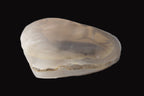 Mangano Calcite hand-carved heart 67-94mm  129-274g Rocks and Things