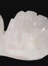 Mangano Calcite hand-carved Swan 140*82*32mm 511g Rocks and Things