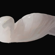 Mangano Calcite hand-carved Swan 140*82*32mm 511g Rocks and Things