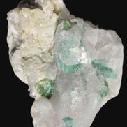 Green Tourmaline cluster in Calcite matrix from Afghanistan 57mm 97g Rocks and Things