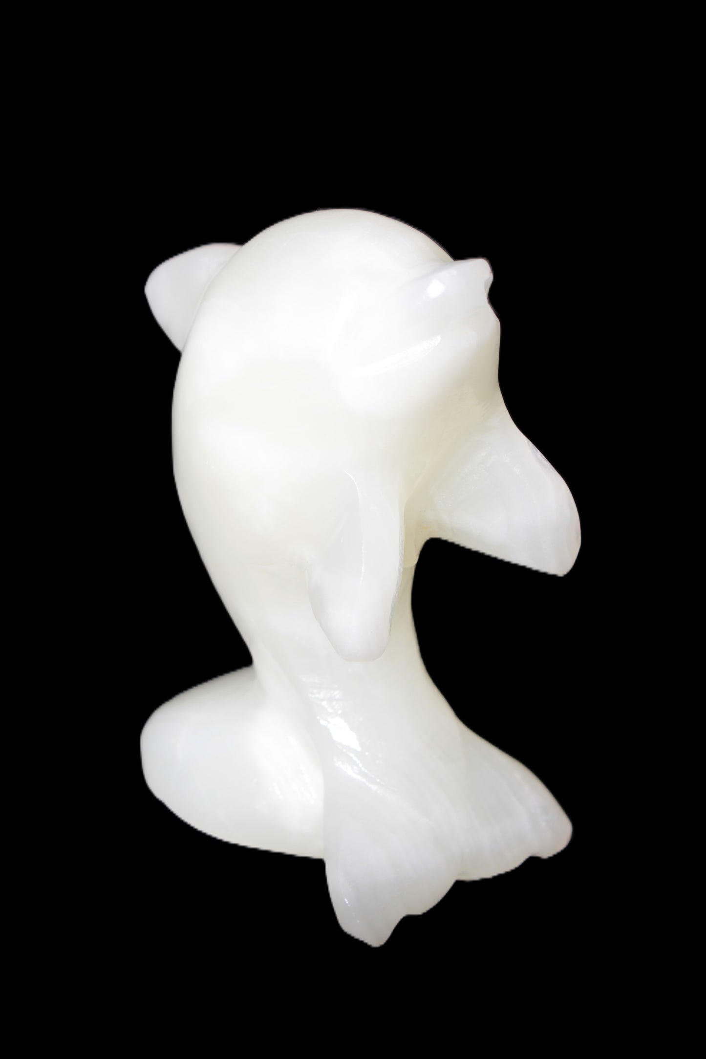 Soft-green Afghan Jade hand-carved Leaping Dolphin 395.5g Rocks and Things