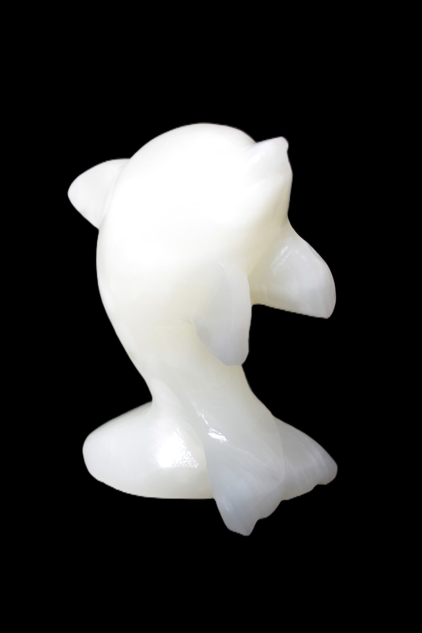 Soft-green Afghan Jade hand-carved Leaping Dolphin 395.5g Rocks and Things