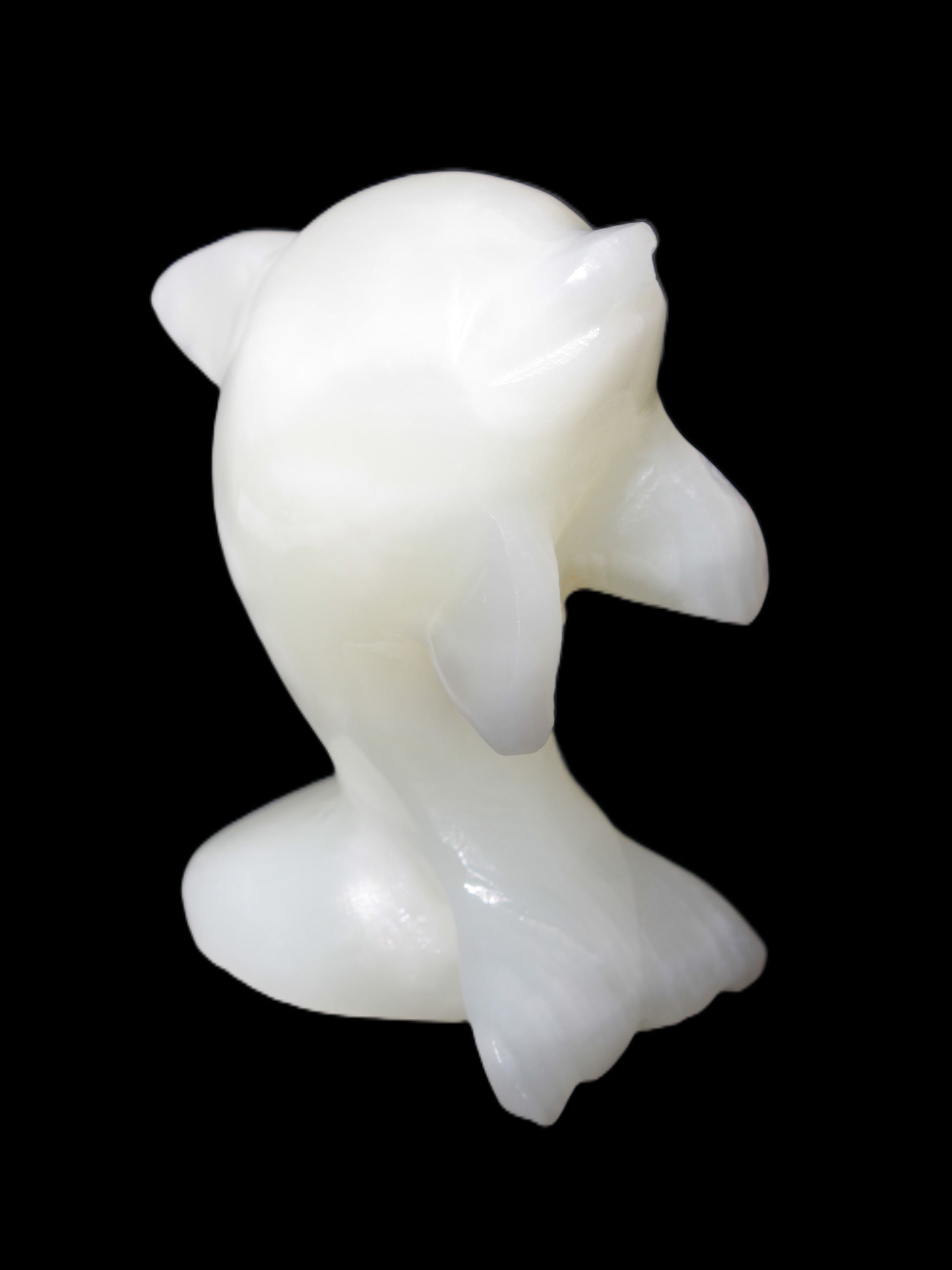 Soft-green Afghan Jade hand-carved Leaping Dolphin 395.5g Rocks and Things