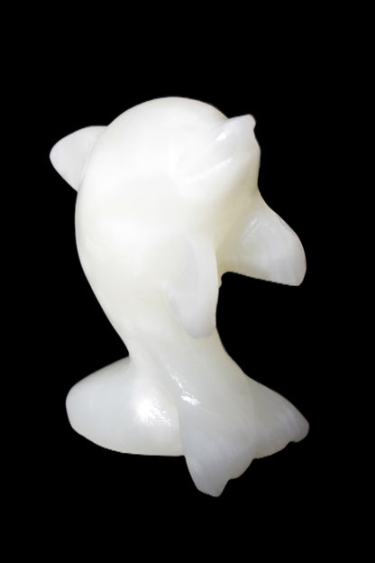 Soft-green Afghan Jade hand-carved Leaping Dolphin 395.5g Rocks and Things