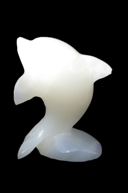 Soft-green Afghan Jade hand-carved Leaping Dolphin 395.5g Rocks and Things