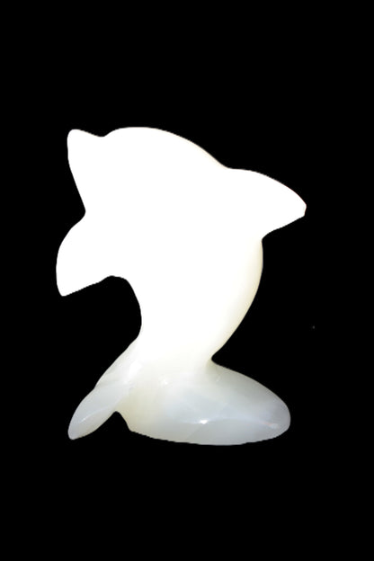 Soft-green Afghan Jade hand-carved Leaping Dolphin 395.5g Rocks and Things