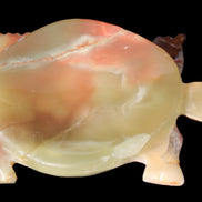 Colourful Afghan Jade hand-carved Turtle 395.5g Rocks and Things