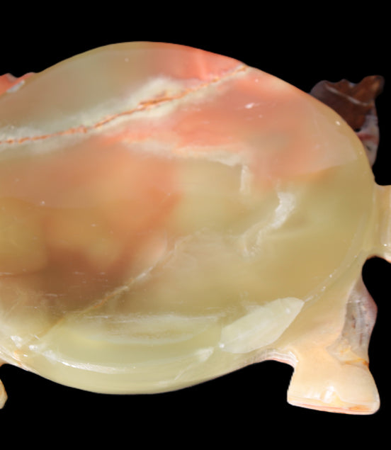Colourful Afghan Jade hand-carved Turtle 395.5g Rocks and Things