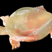 Colourful Afghan Jade hand-carved Turtle 395.5g Rocks and Things