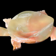 Colourful Afghan Jade hand-carved Turtle 395.5g Rocks and Things