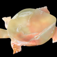 Colourful Afghan Jade hand-carved Turtle 395.5g Rocks and Things