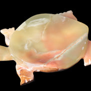 Colourful Afghan Jade hand-carved Turtle 395.5g Rocks and Things