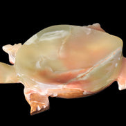 Colourful Afghan Jade hand-carved Turtle 395.5g Rocks and Things