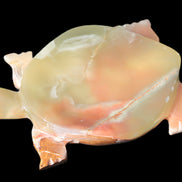 Colourful Afghan Jade hand-carved Turtle 395.5g Rocks and Things