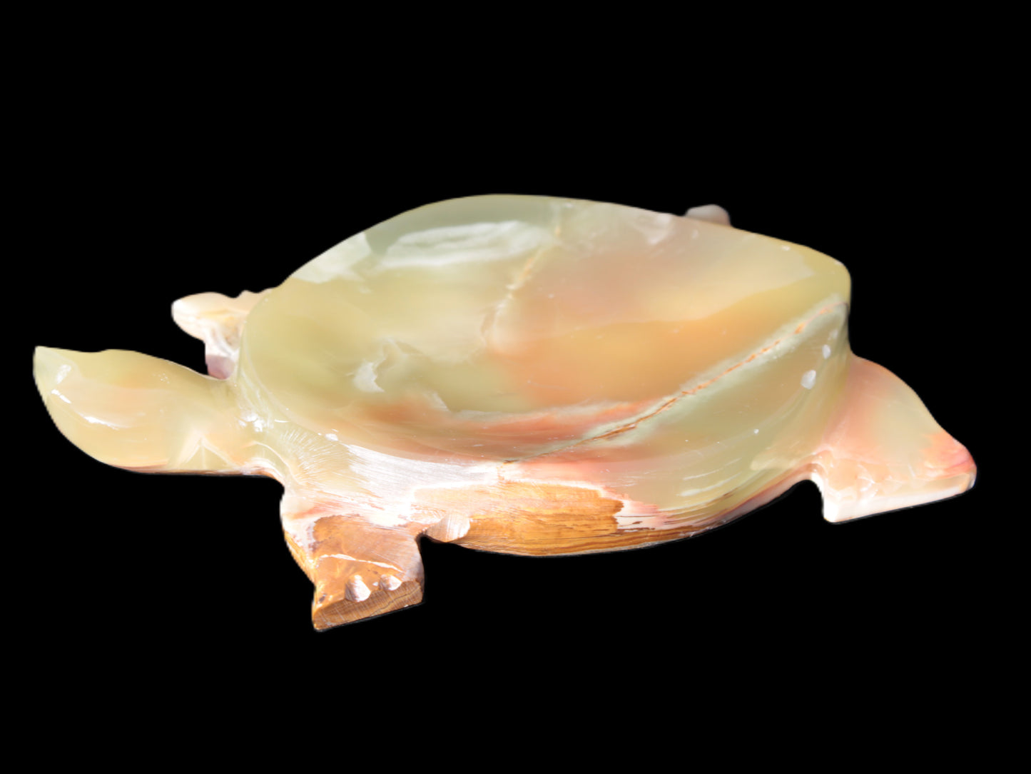 Colourful Afghan Jade hand-carved Turtle 395.5g Rocks and Things