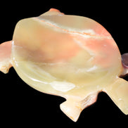 Colourful Afghan Jade hand-carved Turtle 395.5g Rocks and Things