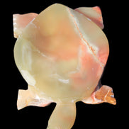 Colourful Afghan Jade hand-carved Turtle 395.5g Rocks and Things