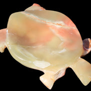 Colourful Afghan Jade hand-carved Turtle 395.5g Rocks and Things