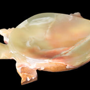 Colourful Afghan Jade hand-carved Turtle 395.5g Rocks and Things