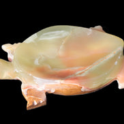 Colourful Afghan Jade hand-carved Turtle 395.5g Rocks and Things