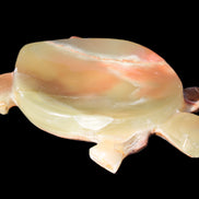 Colourful Afghan Jade hand-carved Turtle 395.5g Rocks and Things