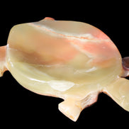 Colourful Afghan Jade hand-carved Turtle 395.5g Rocks and Things