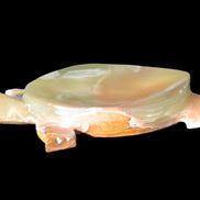 Colourful Afghan Jade hand-carved Turtle 395.5g Rocks and Things