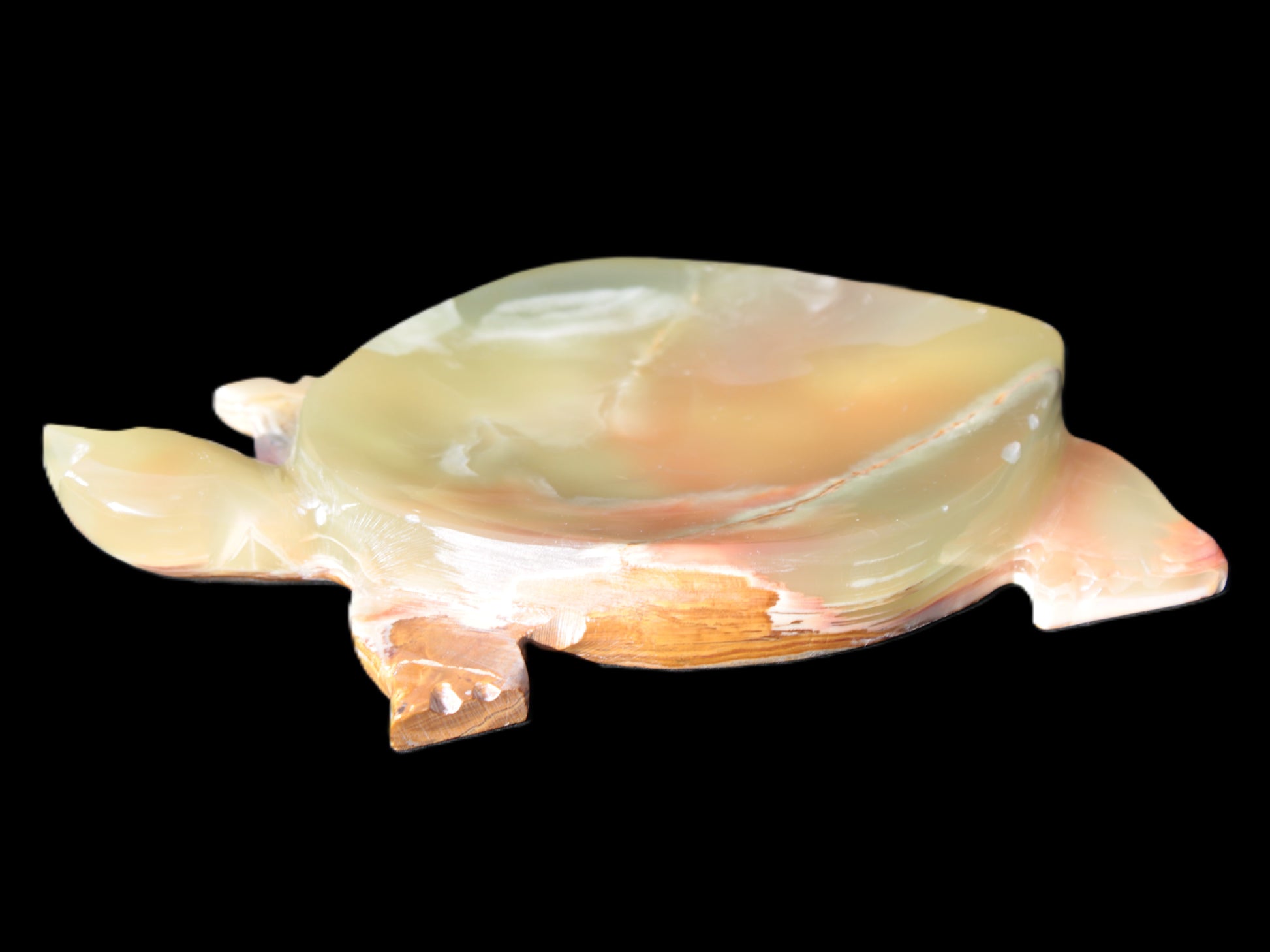 Colourful Afghan Jade hand-carved Turtle 395.5g Rocks and Things