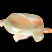 Colourful Afghan Jade hand-carved Turtle 395.5g Rocks and Things