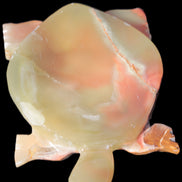 Colourful Afghan Jade hand-carved Turtle 395.5g Rocks and Things