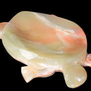 Colourful Afghan Jade hand-carved Turtle 395.5g Rocks and Things