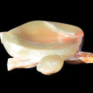 Colourful Afghan Jade hand-carved Turtle 395.5g Rocks and Things