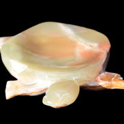 Colourful Afghan Jade hand-carved Turtle 395.5g Rocks and Things