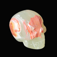 Afghan Jade skull 47-52mm  180-198g Rocks and Things