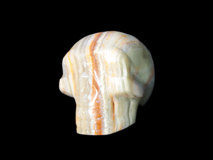 Afghan Jade skull 47-52mm  180-198g Rocks and Things