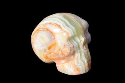 Afghan Jade skull 47-52mm  180-198g Rocks and Things