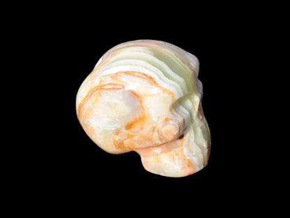 Afghan Jade skull 47-52mm  180-198g Rocks and Things